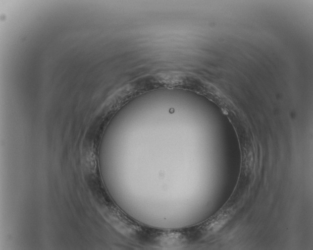 X0000062870609200601201756