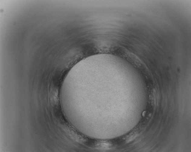 X0000062870610200601201756