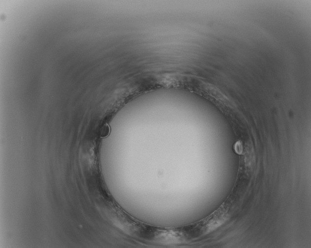 X0000062870611200601201756