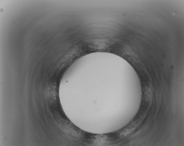 X0000062870612200601201756