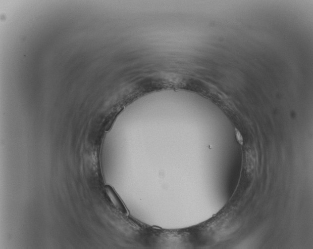 X0000062870613200601201756