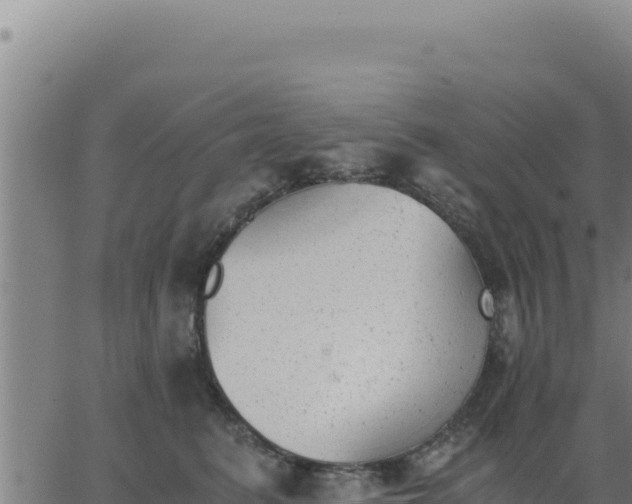 X0000062870615200601201756