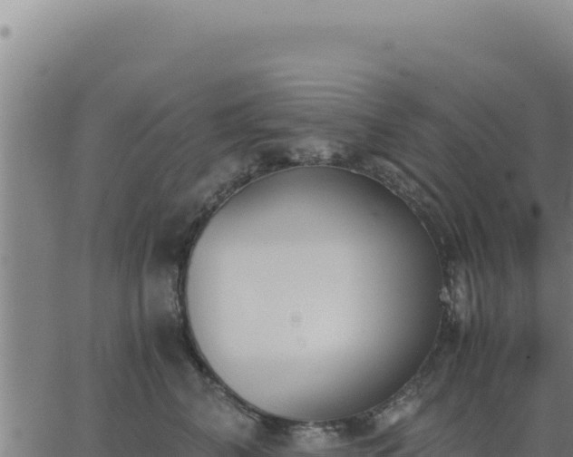 X0000062870616200601201756