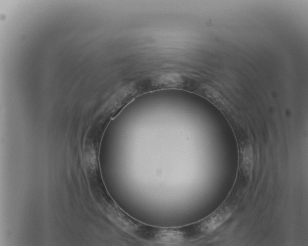 X0000062870617200601201756