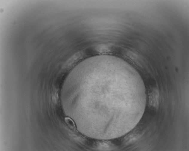 X0000062870618200601201756