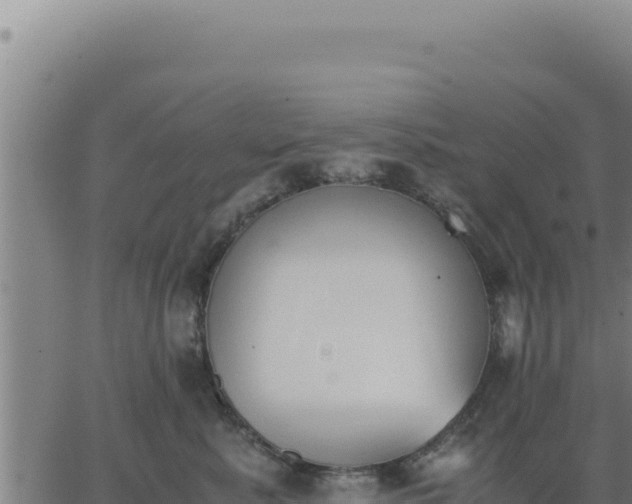 X0000062870619200601201756