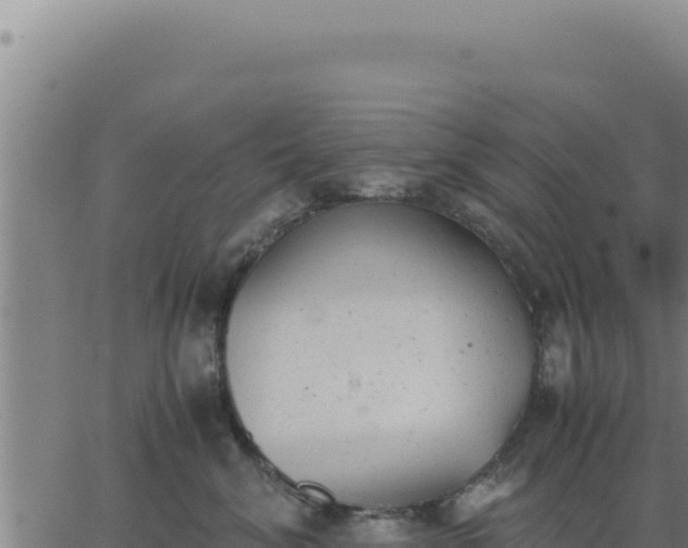 X0000062870620200601201756