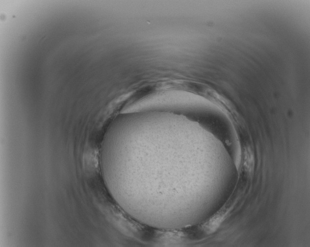 X0000062870621200601201756