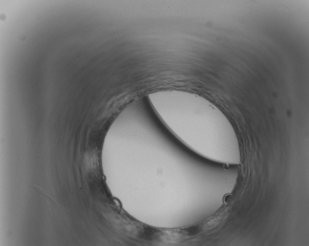 X0000062870623200601201756