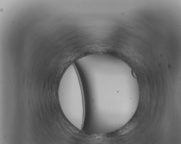 X0000062870624200601201756