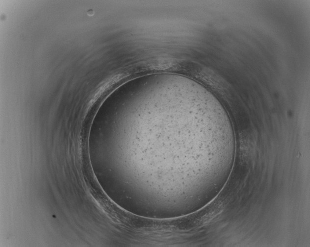 X0000062870626200601201755