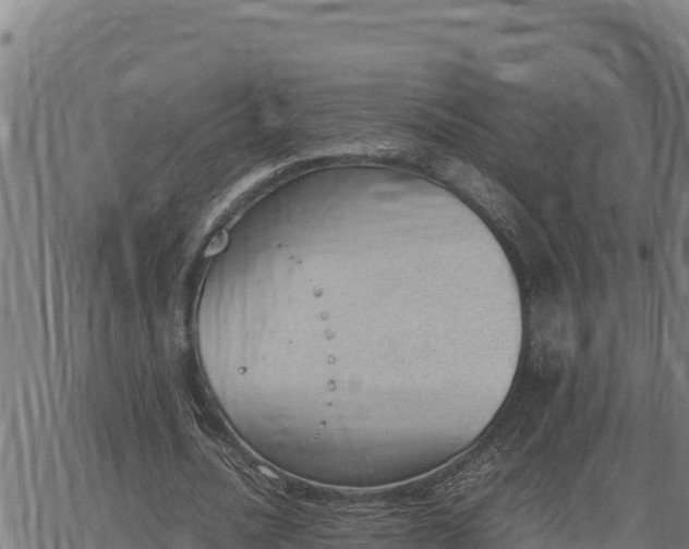 X0000062870628200601201755