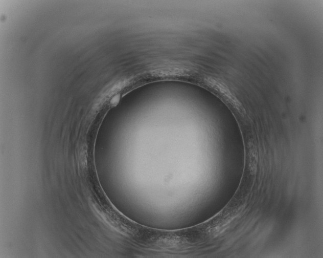 X0000062870631200601201755