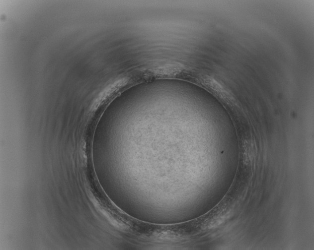 X0000062870634200601201755