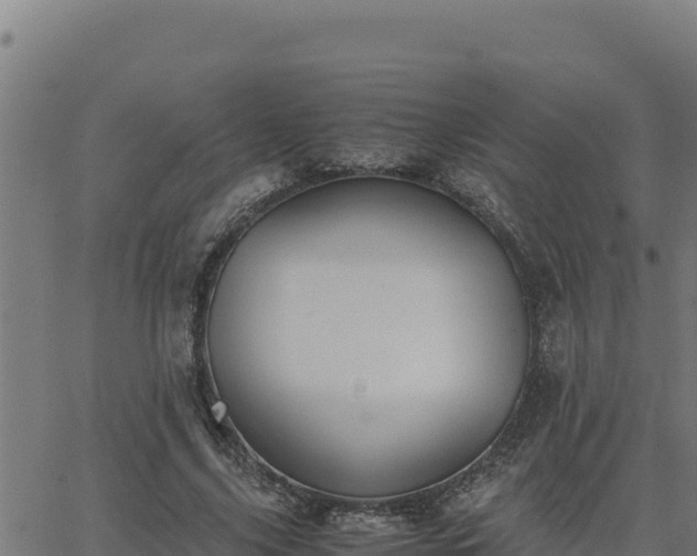 X0000062870635200601201755