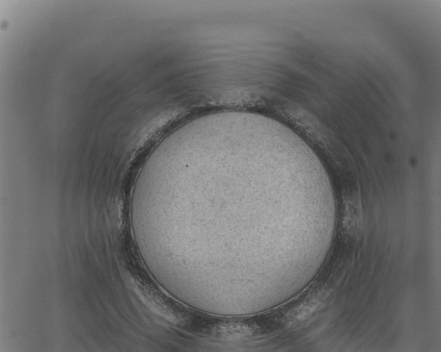 X0000062870636200601201755