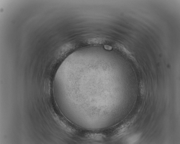 X0000062870637200601201755