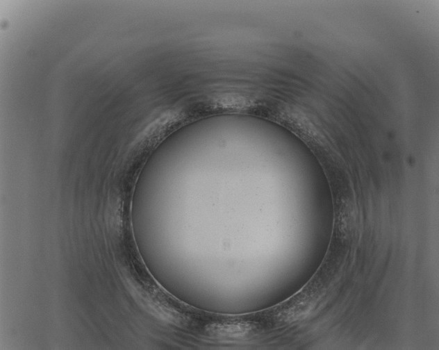 X0000062870639200601201755