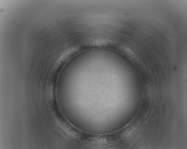 X0000062870640200601201755