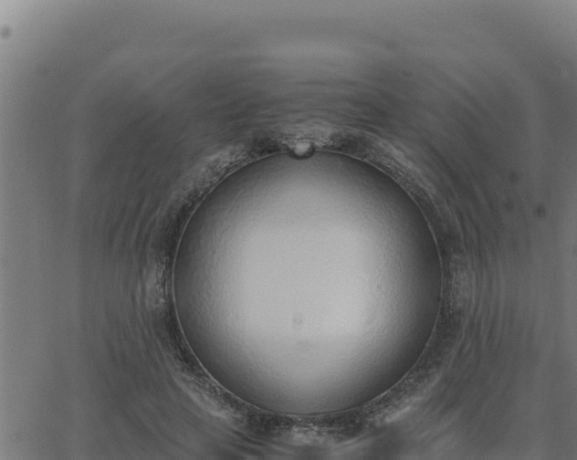 X0000062870641200601201755