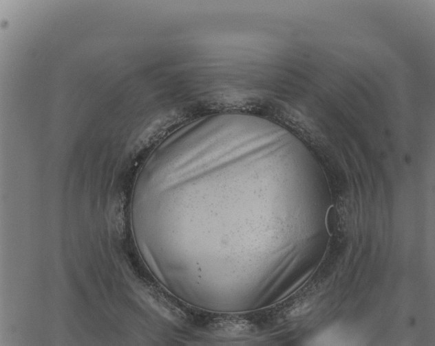 X0000062870642200601201755