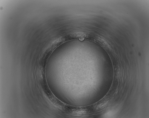 X0000062870643200601201755