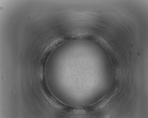 X0000062870644200601201755