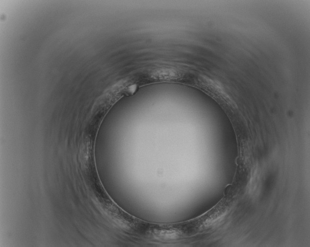 X0000062870645200601201755