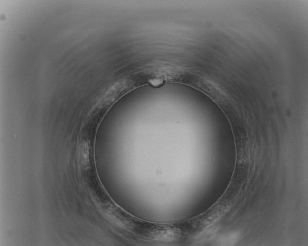 X0000062870646200601201755