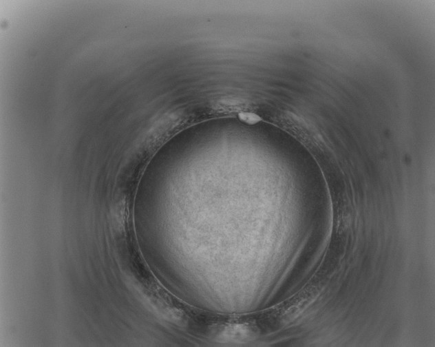 X0000062870647200601201755