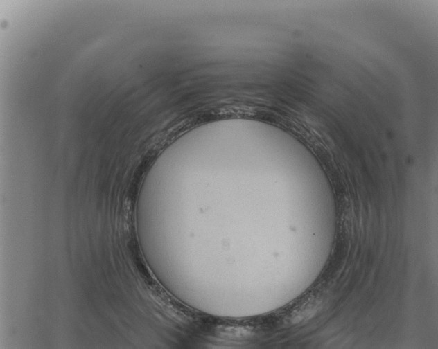 X0000062870649200601201755