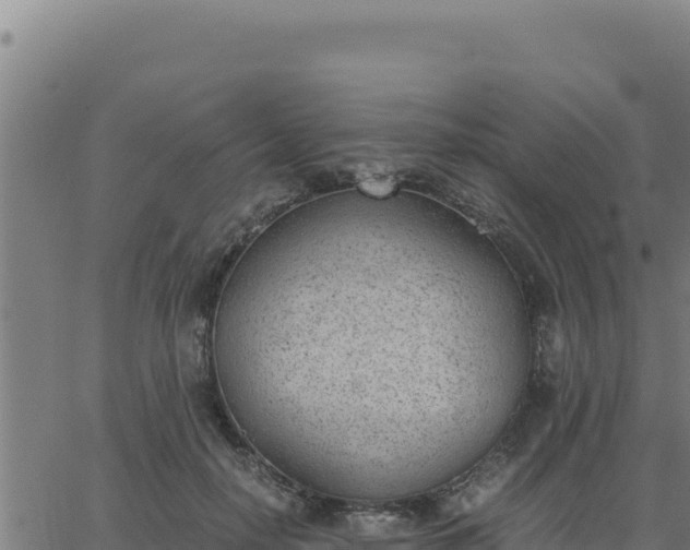 X0000062870650200601201755