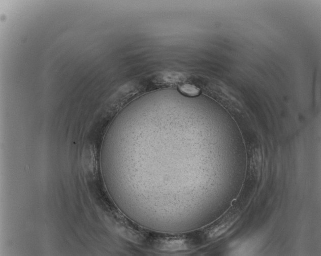 X0000062870651200601201755