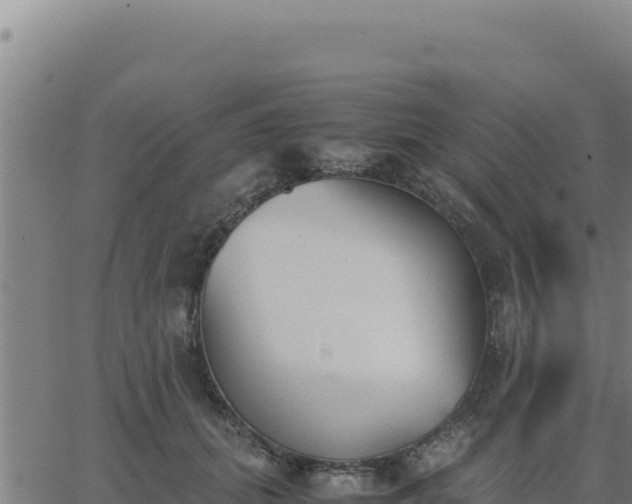 X0000062870655200601201755