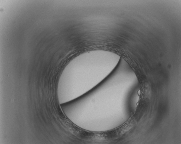 X0000062870656200601201755