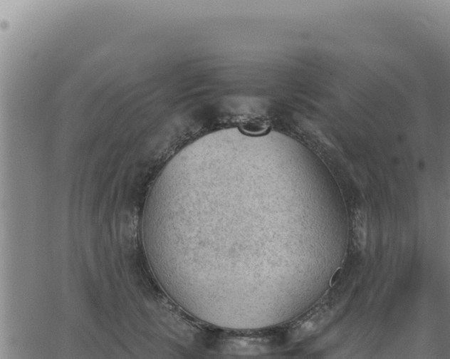 X0000062870657200601201755