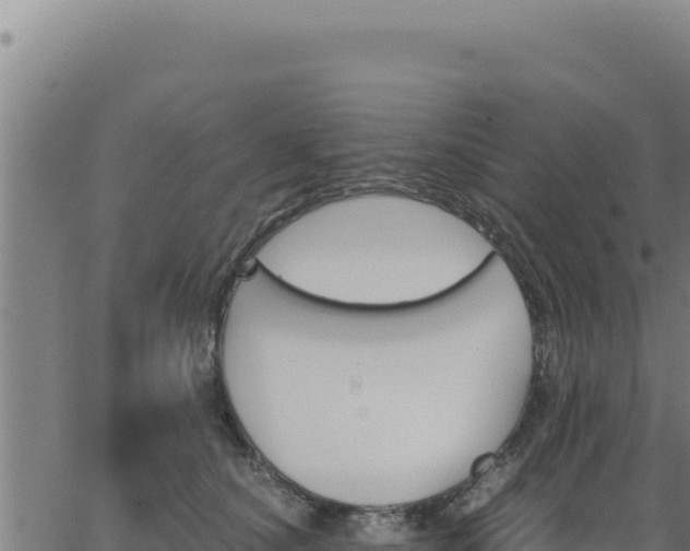 X0000062870660200601201755