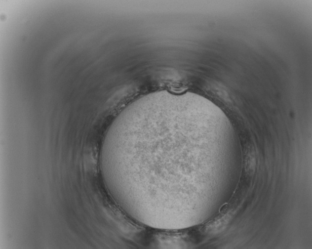 X0000062870661200601201755