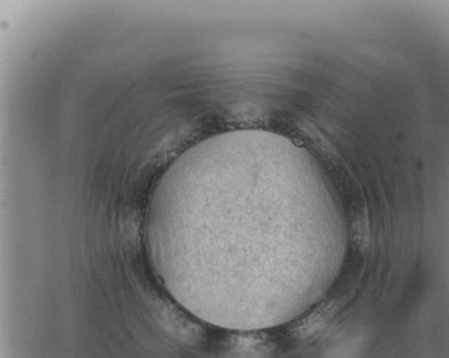 X0000062870662200601201755