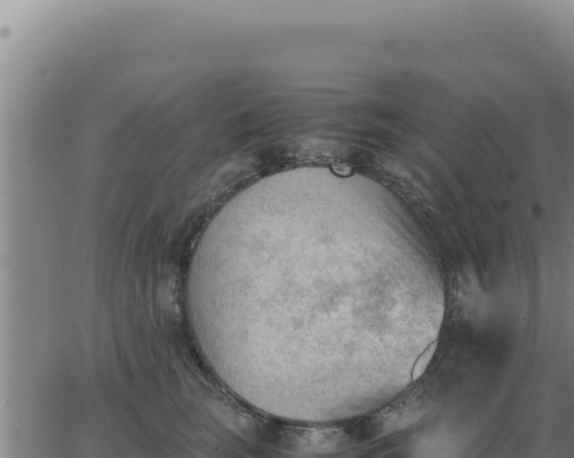 X0000062870663200601201755