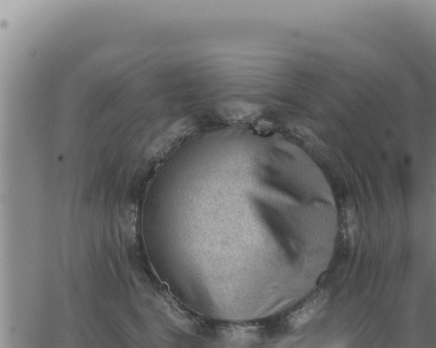 X0000062870664200601201755