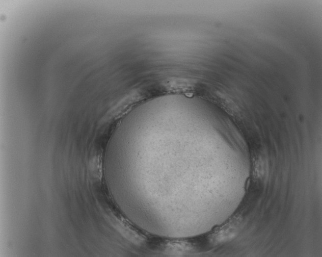 X0000062870666200601201756