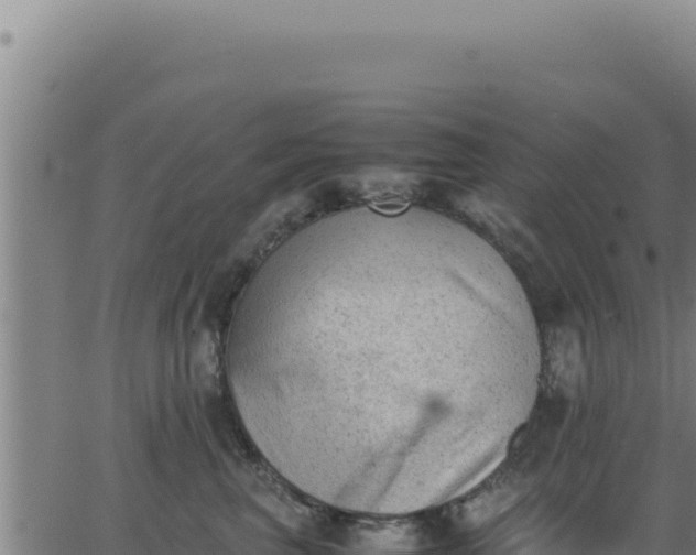 X0000062870667200601201756