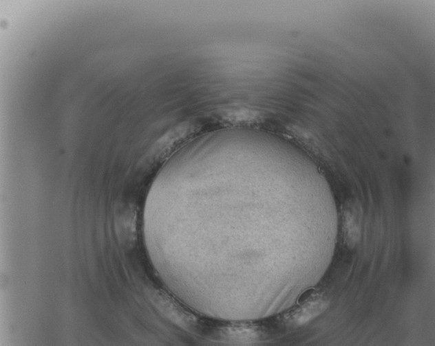 X0000062870668200601201756