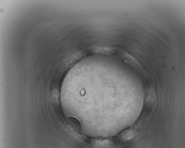 X0000062870669200601201756