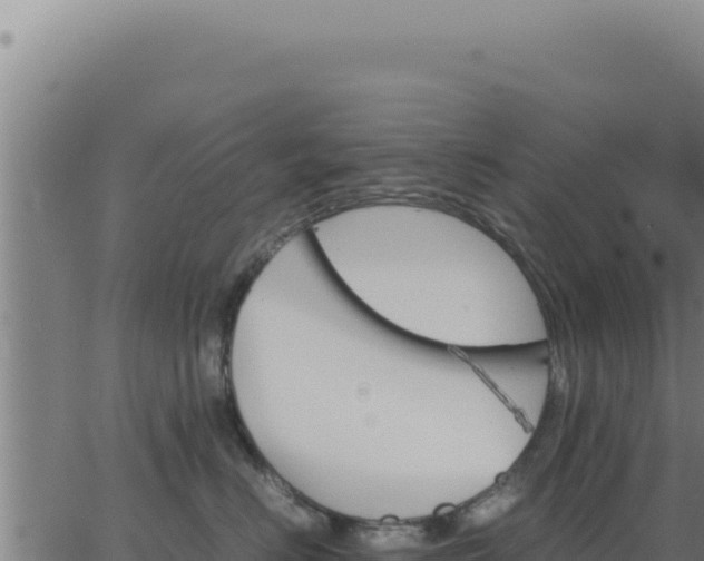 X0000062870670200601201756