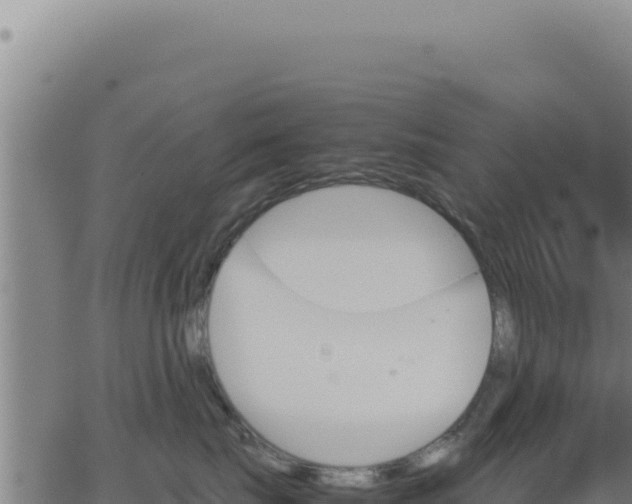 X0000062870671200601201756