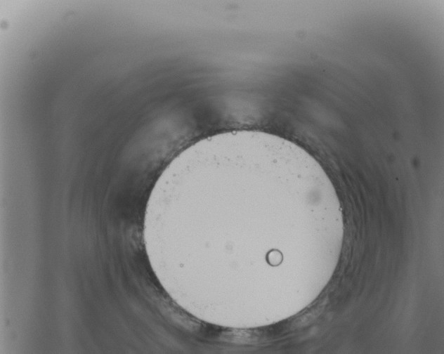 X0000062870672200601201756