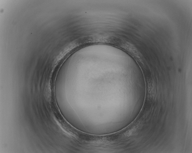 X0000062870674200601201755