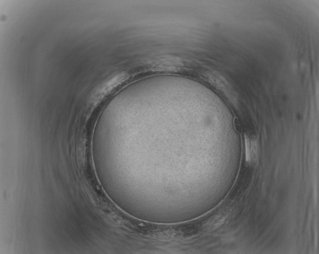 X0000062870675200601201755